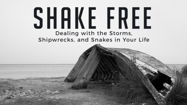 Shake Free Part 2: Shipwrecks Image