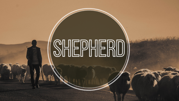 Shepherd Part 3 Image